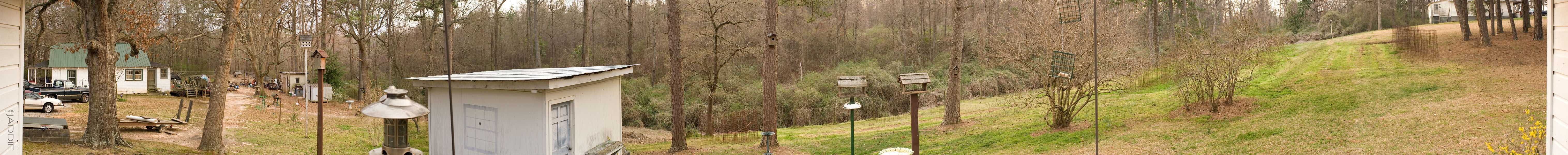 Larry's Backyard Panorama