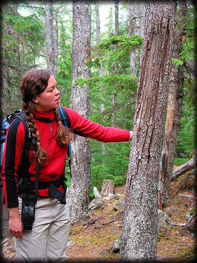 Amy Showing Bear-Clawed Tree