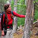 Amy Showing Bear-Clawed Tree