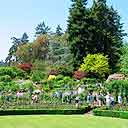 Butchart Gardens