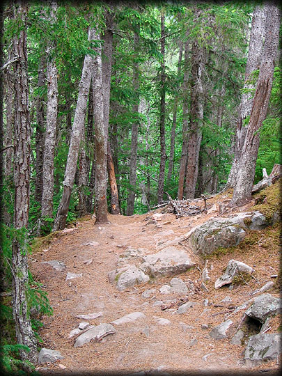 Chilkoot Trail