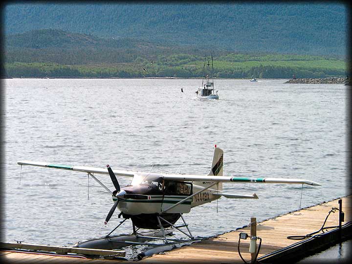 Bald Eagles Diving For Fish Near Fishing Boat, Floatplane