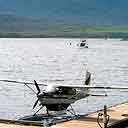 Bald Eagles Diving For Fish Near Fishing Boat, Floatplane