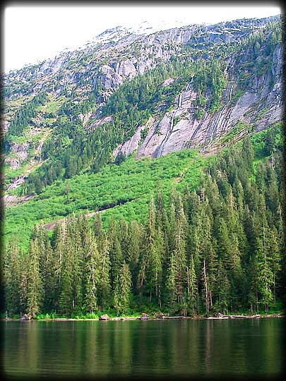 Another Photo Taken From Floatplane's Floats In Noonya Lake In Misty Fjords