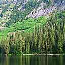 Another Photo Taken From Floatplane's Floats In Noonya Lake In Misty Fjords