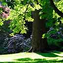 Nice Landscape Shot Taken In Stanley Park