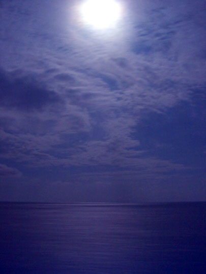 Caribbean Moonlight