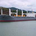 Japanese Grain Freighter