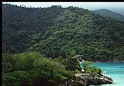 Beach At Labadee Top Left