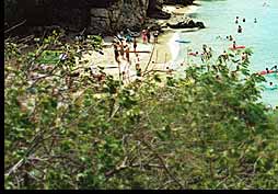 Beach At Labadee Bottom Left