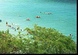 Beach At Labadee Bottom Right