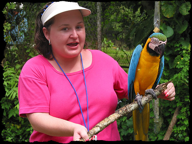 Becky & Parrot