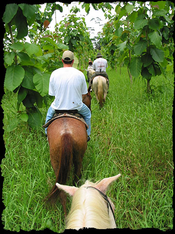 Horseback Riding