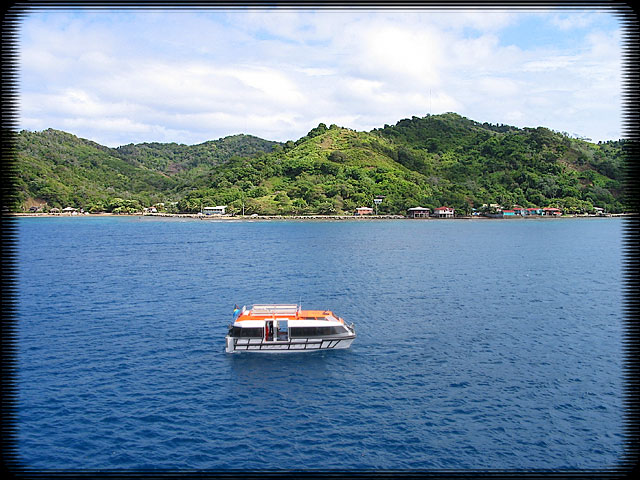 Roatan Shore