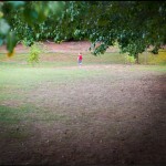 Walking along the Wigleys’ muscadine vine