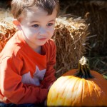 Two pumpkins at Washington Farms
