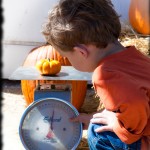 Weighing his pumpkin