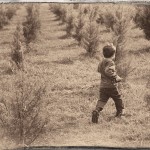 Exploring the great frontier at Thompson’s Tree Farm