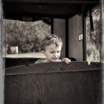 In a wagon at Thompson’s Tree Farm